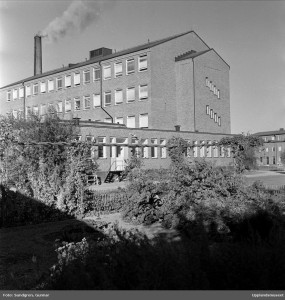 På Boländerna kring 1950