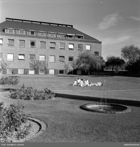 På Boländerna kring 1950